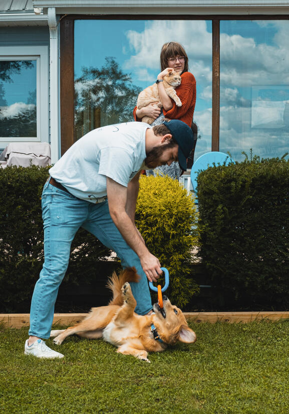 A man tussles with golden retriever over a toy in green grass. In the background, a woman stands on the back porch watching with an orange cat resting in her arms.