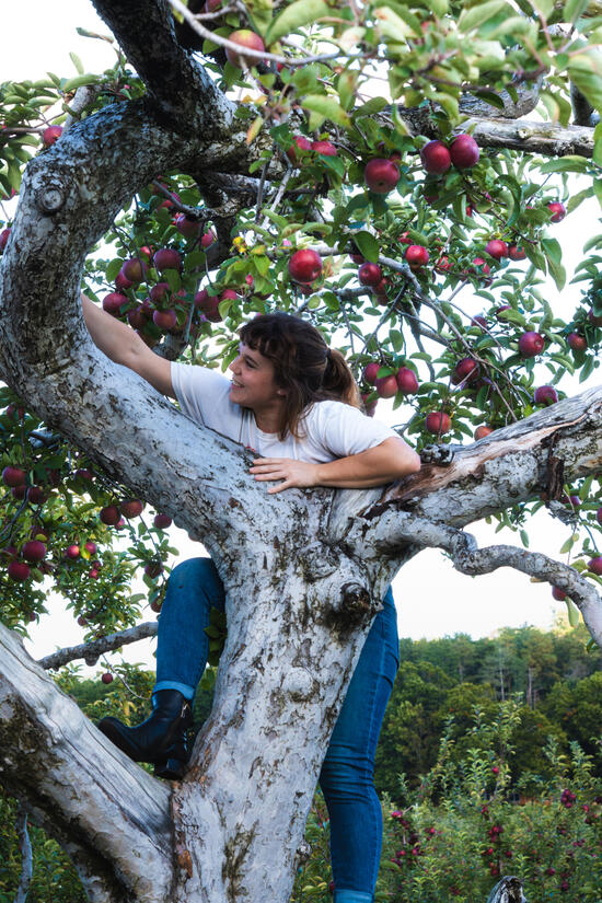 Prime Picking (2023)