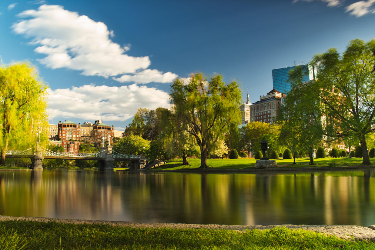 Boston Common Bridge (2021)