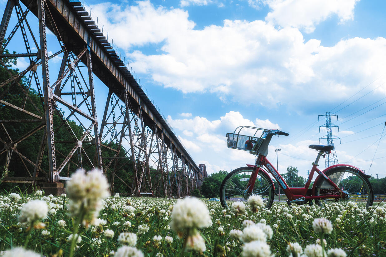 Pedaling the Tracks (2018)